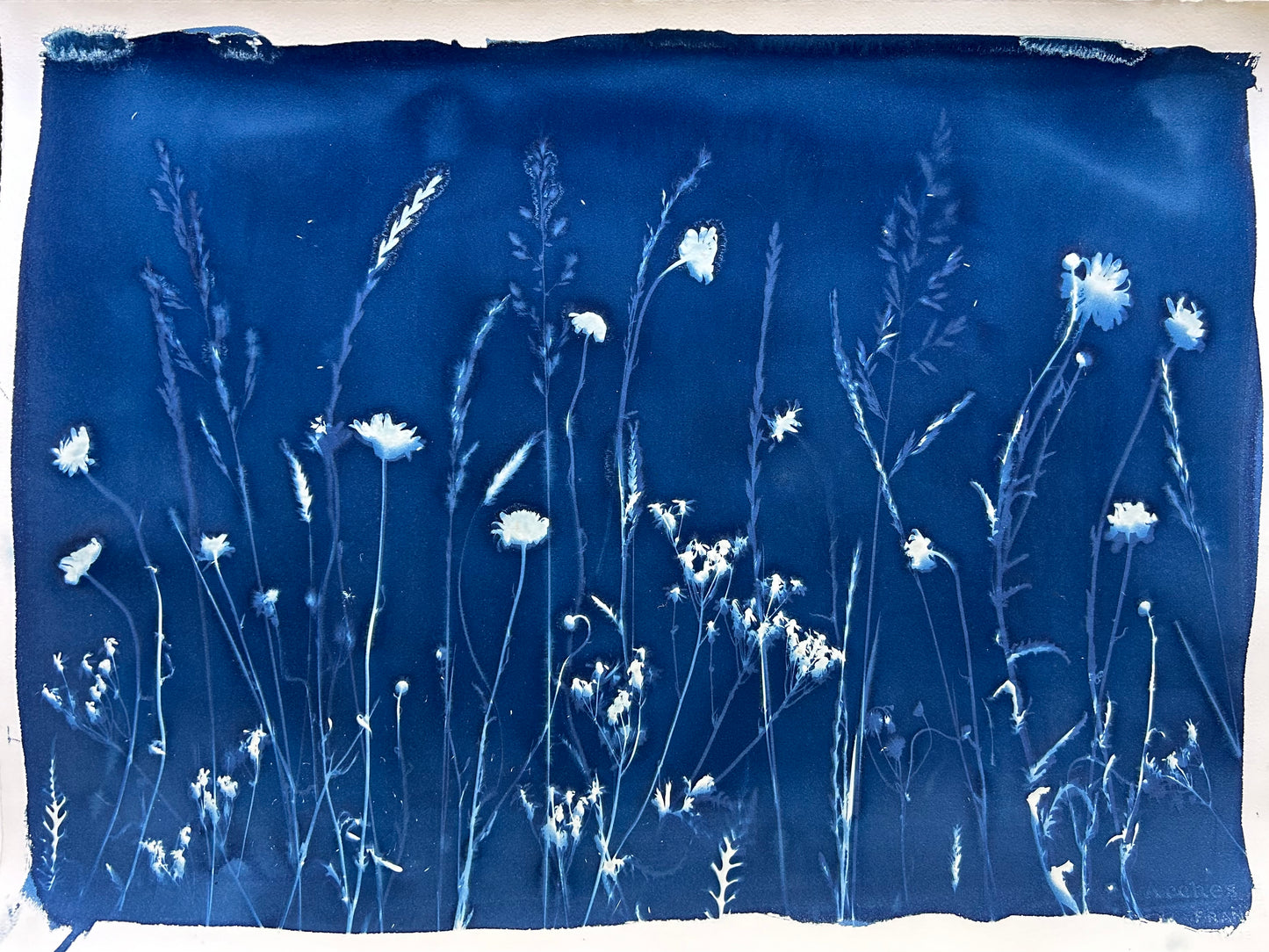 Spring Abound