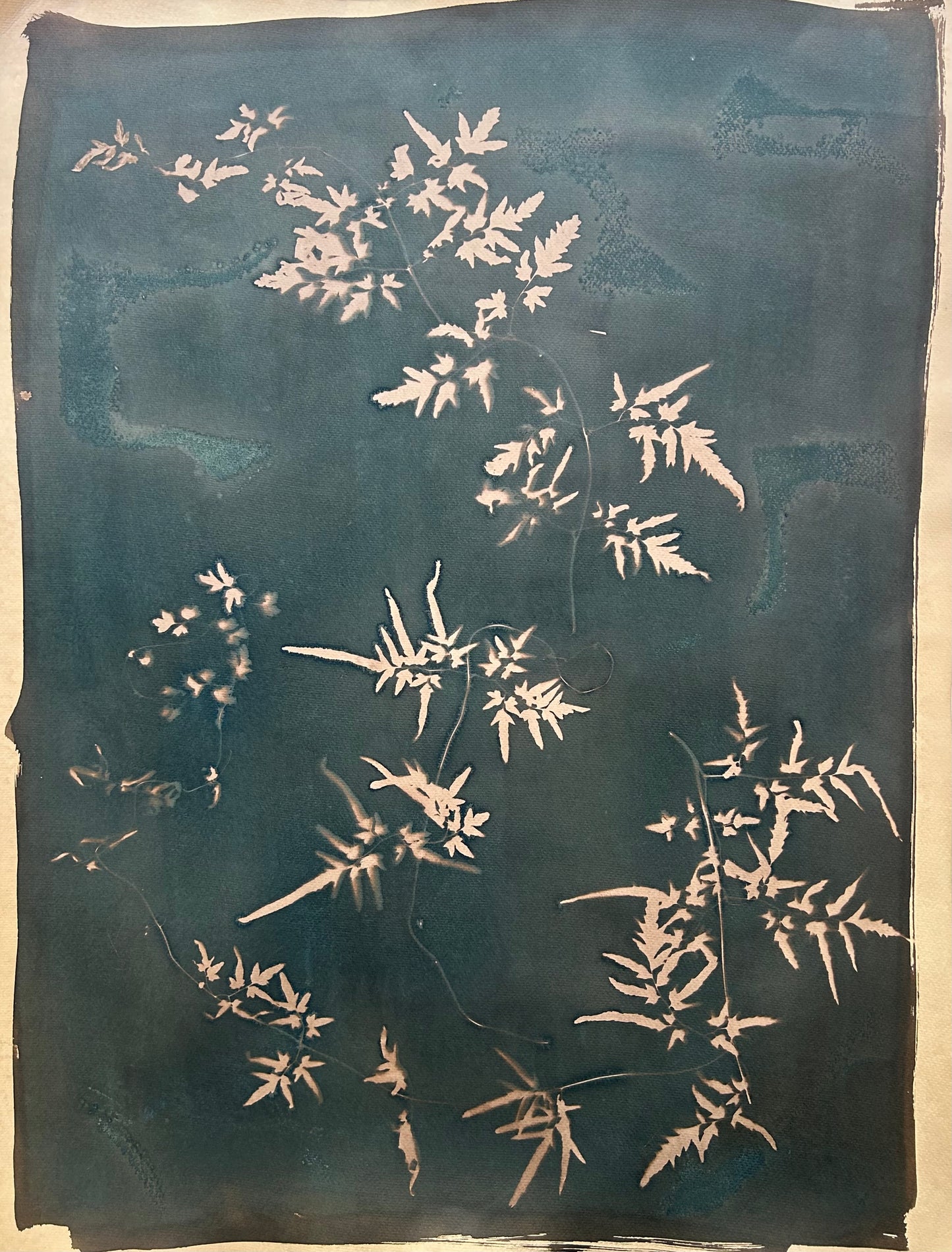 Tea Stained Japanese Fern
