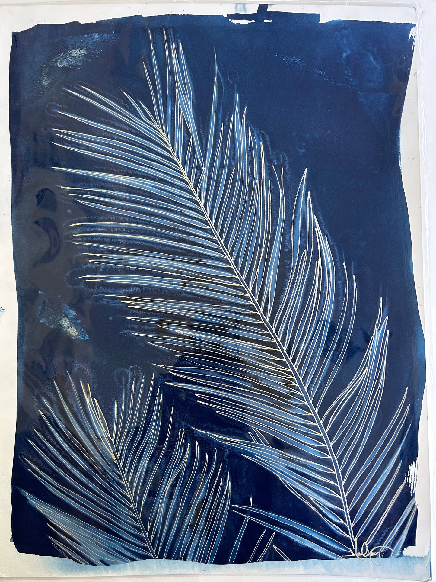 Gold Lined Palms