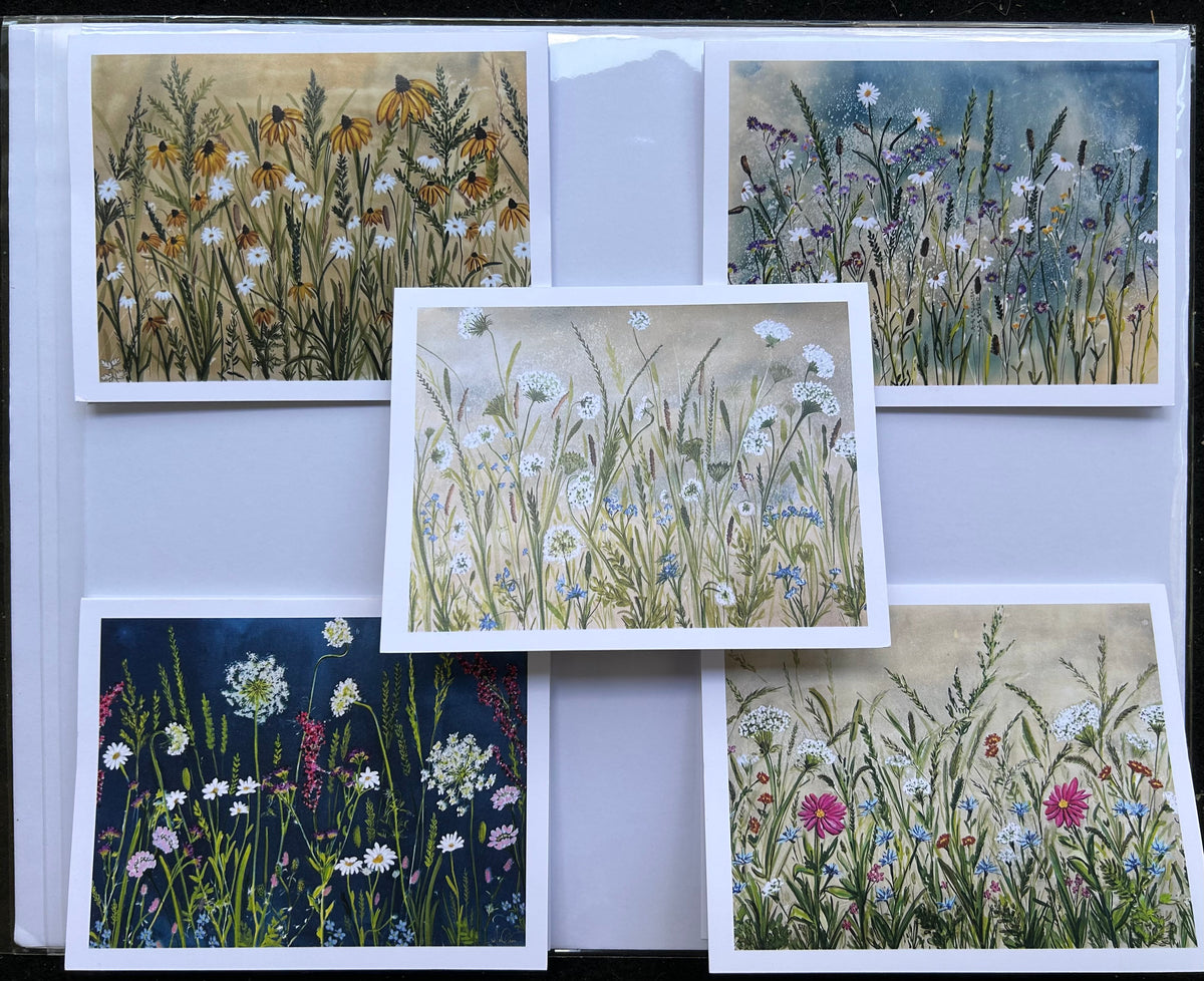 Wildflower Field variety pack