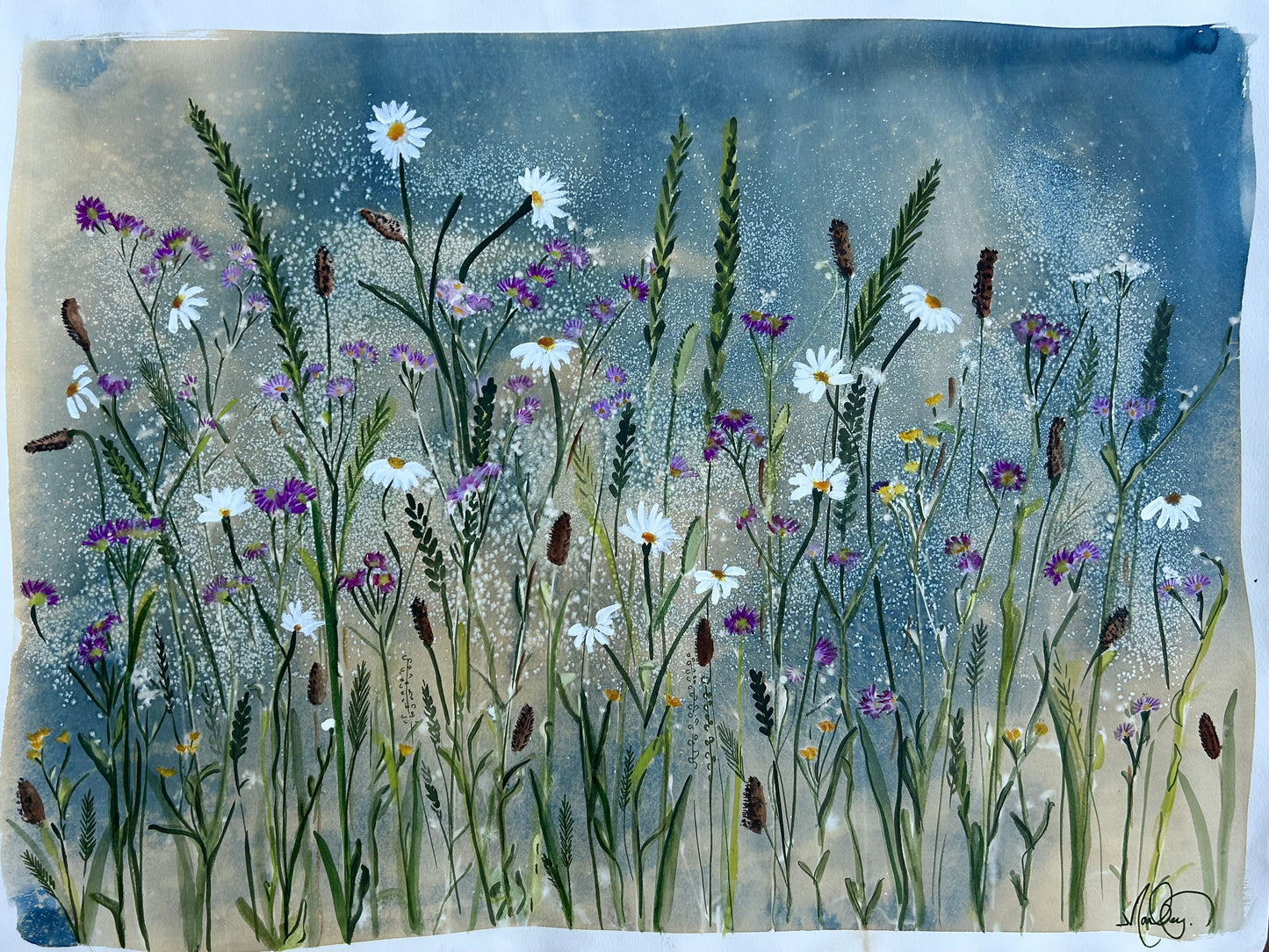 Magical Meadow
