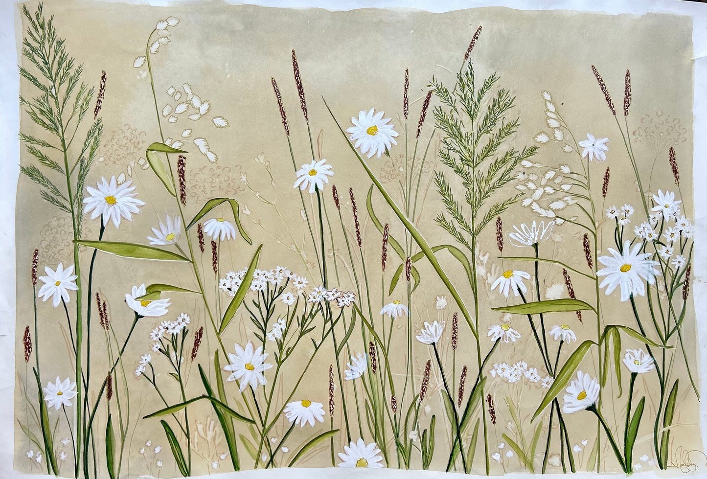 Field of Flowers