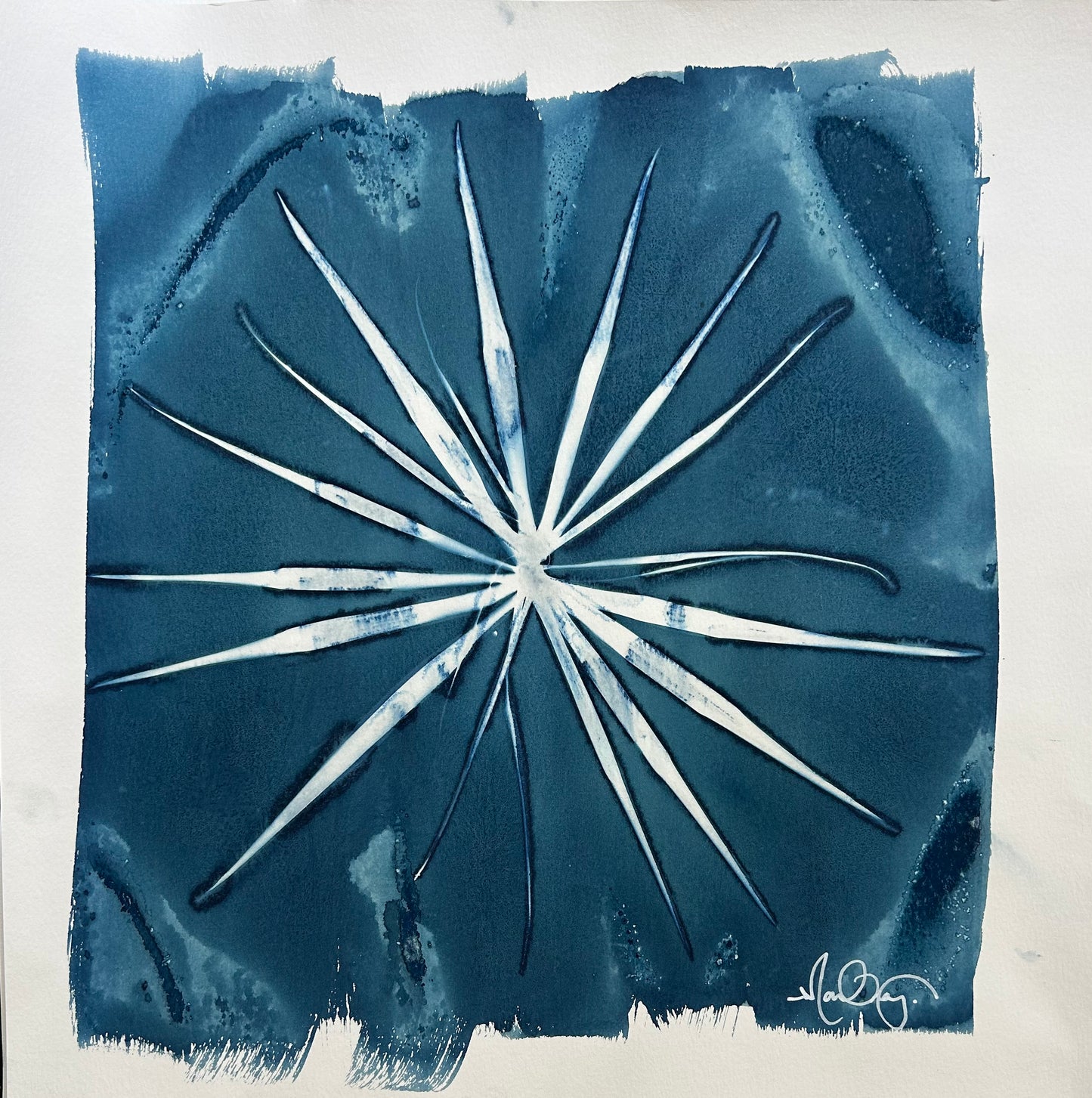 Palm Star 2