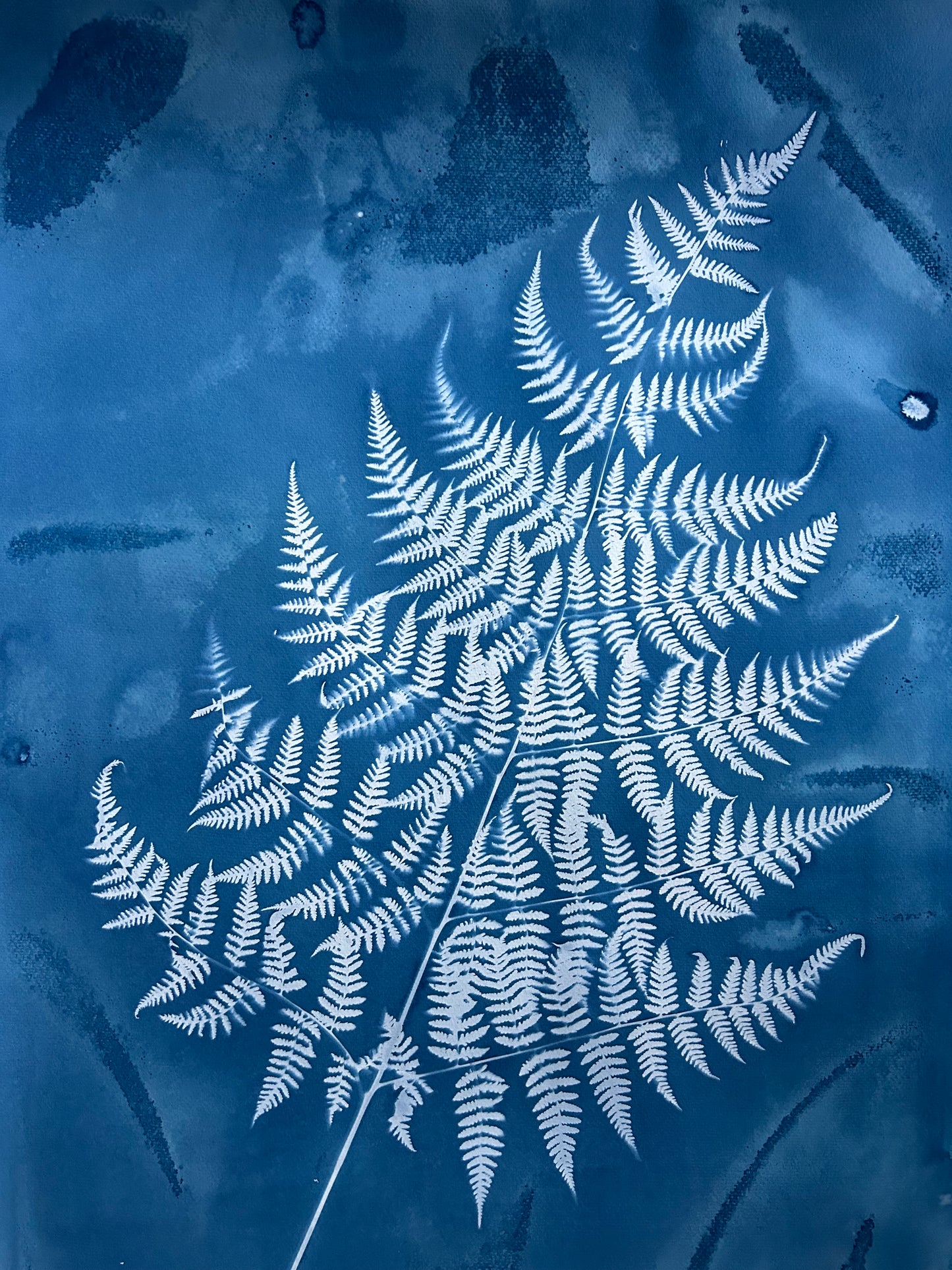 Autumn Fern leaning Right