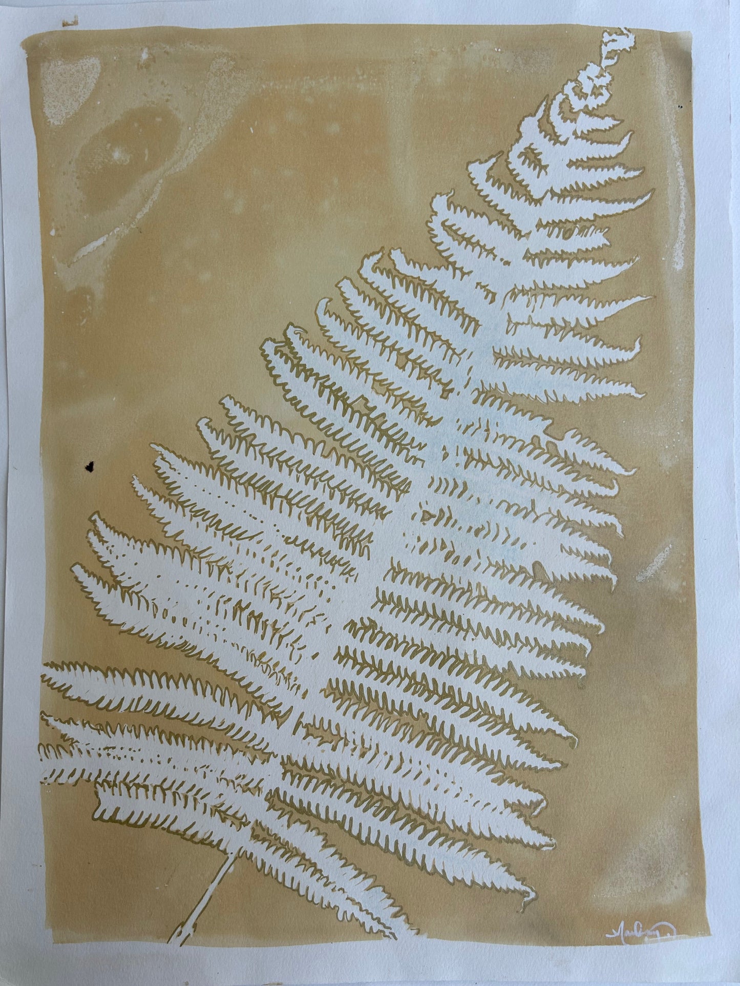 Golden Fern