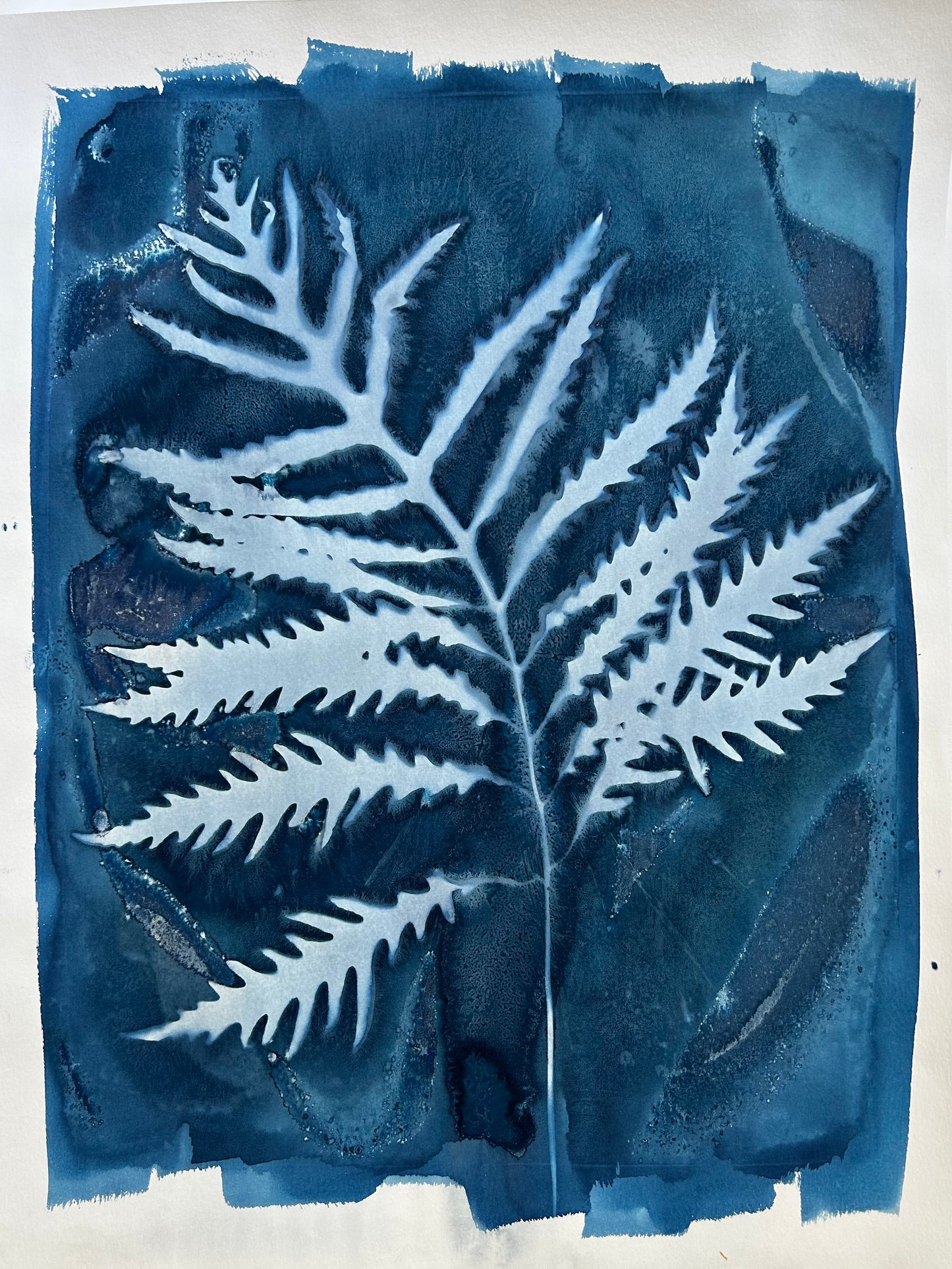 Fern left