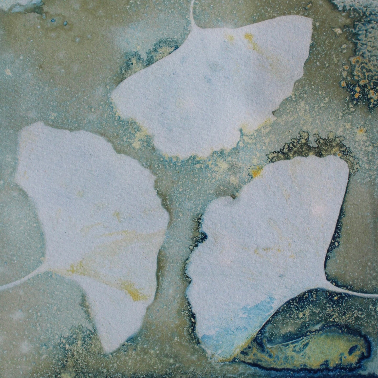 Green Ginkgo Trio