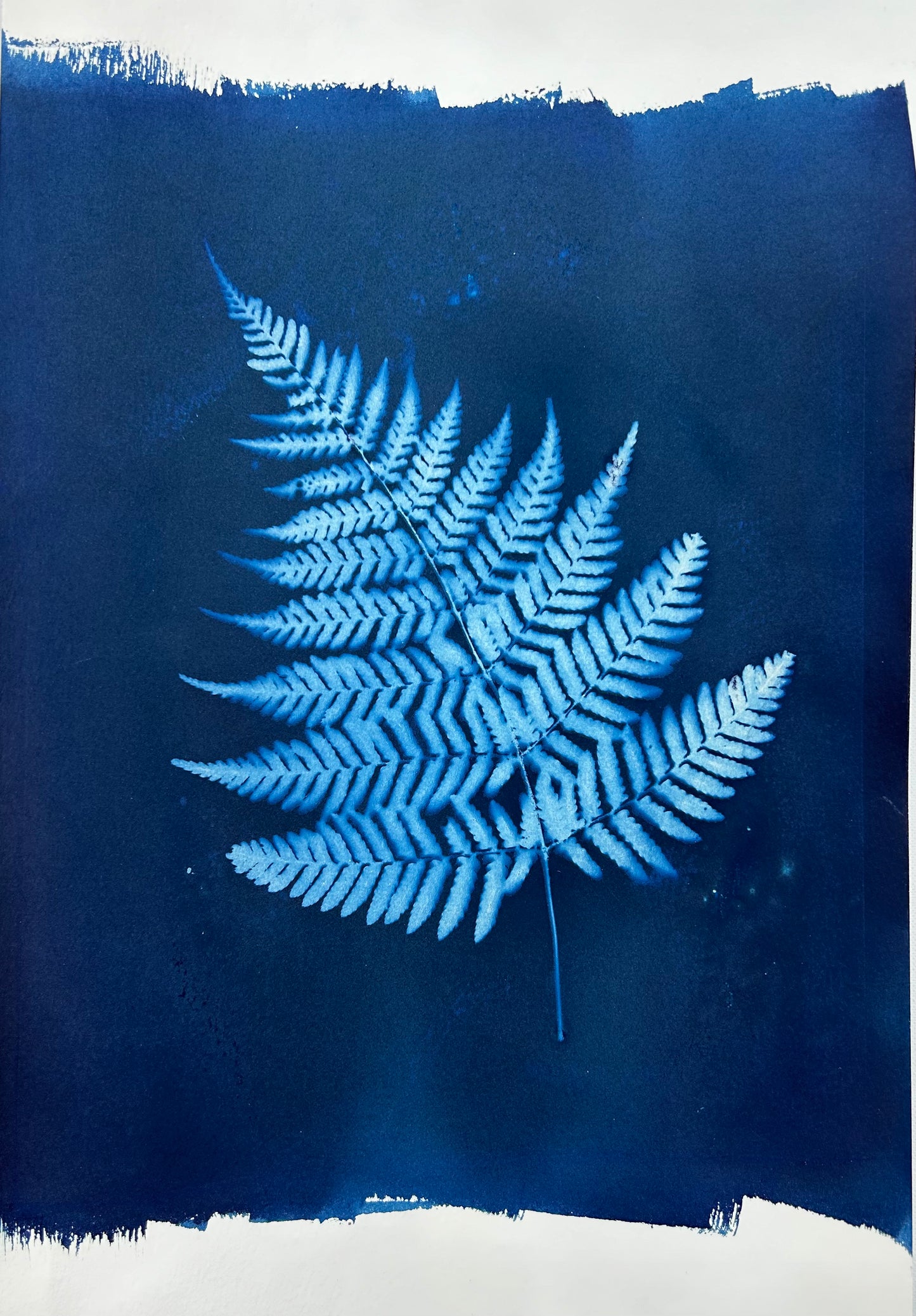 Autumn Fern (L)
