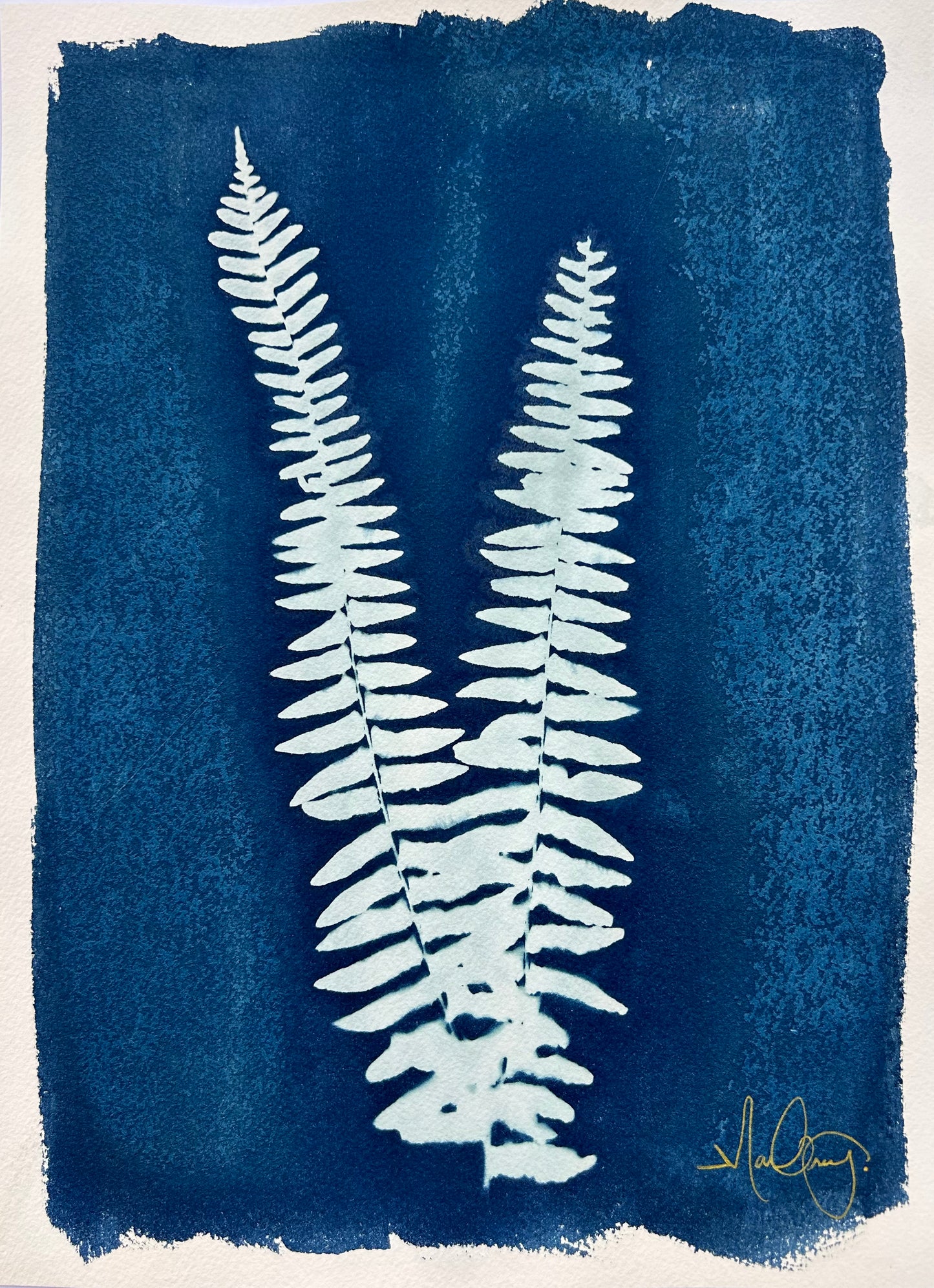 Double Fern (L)