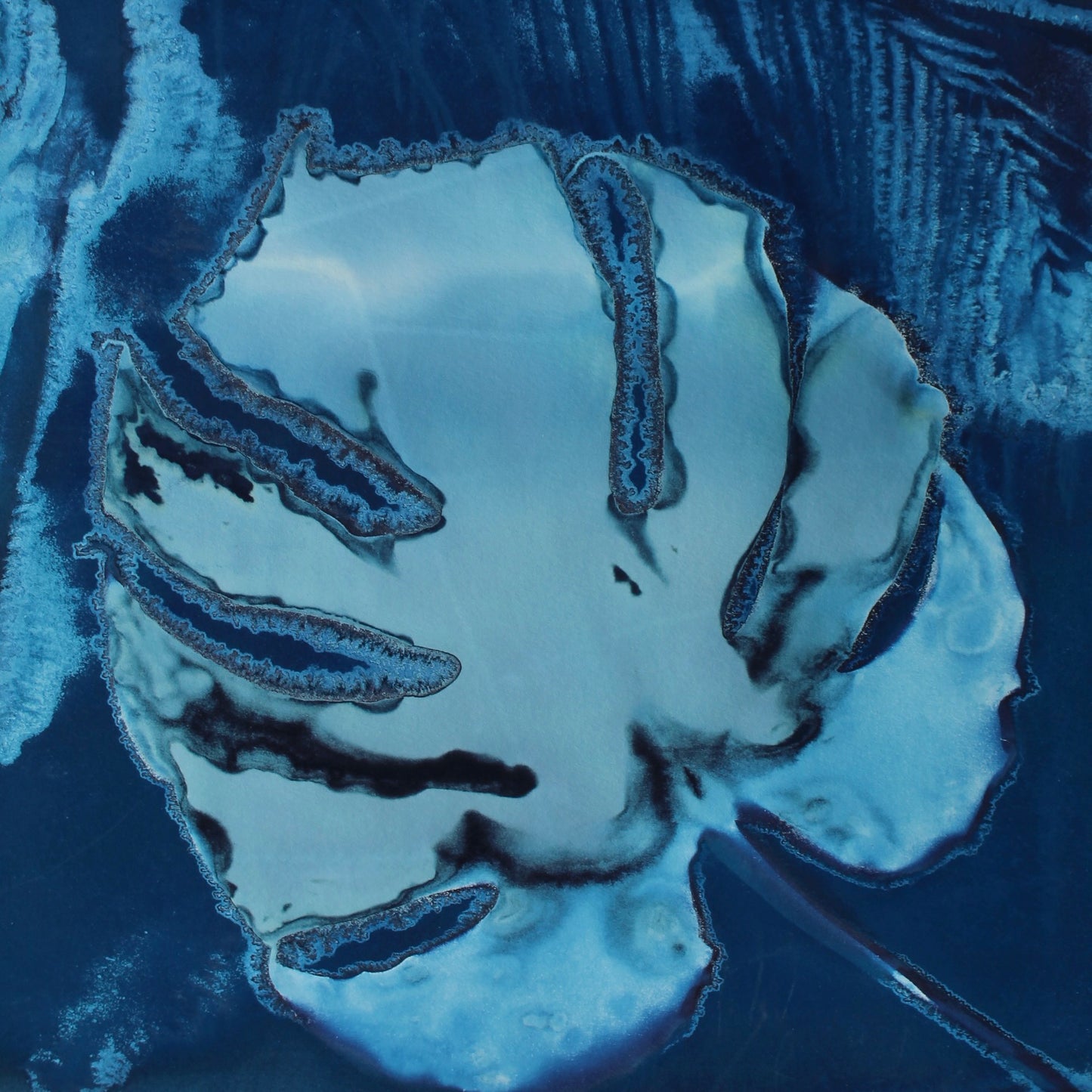 Monstera Leaf