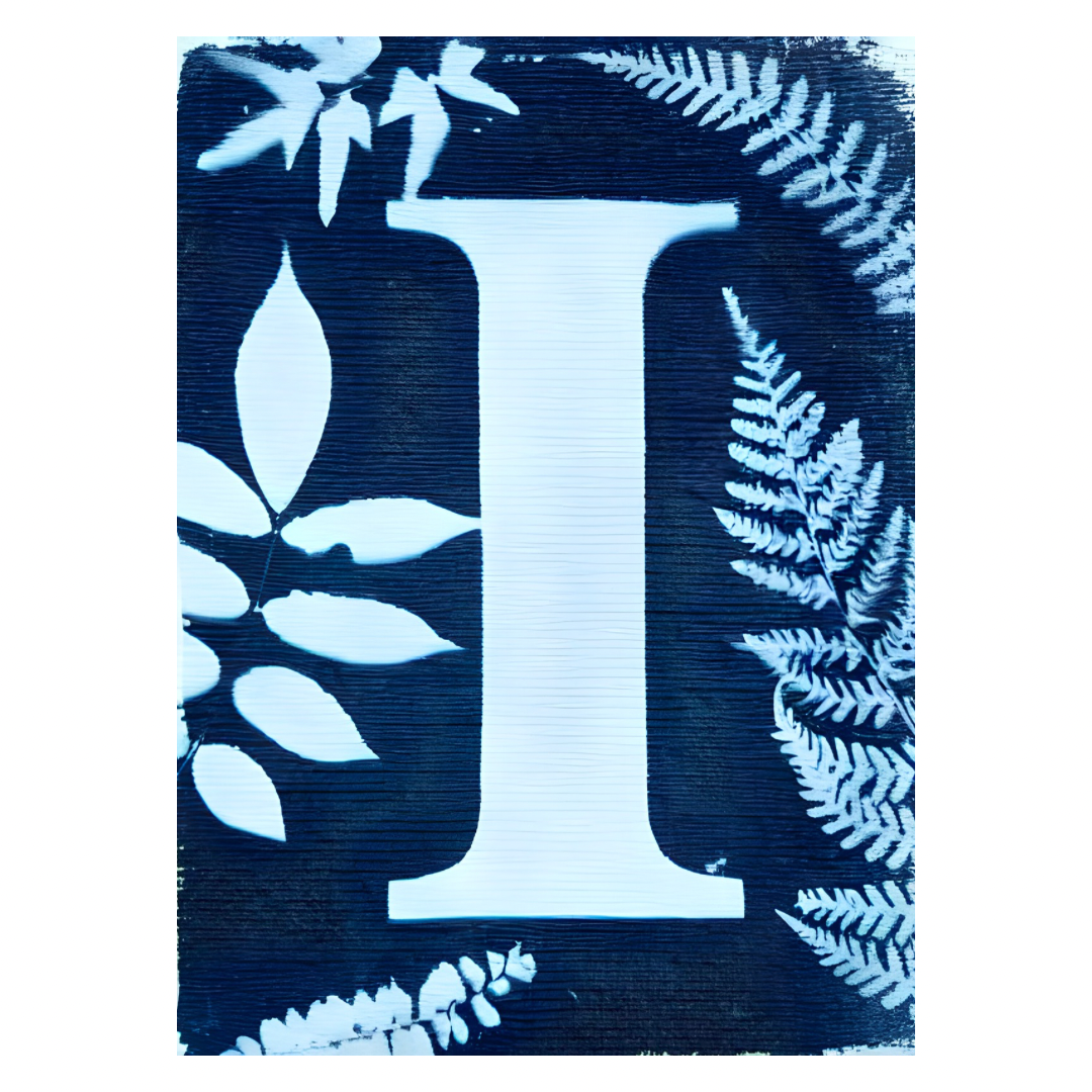 Cyanotype Letters Notecards
