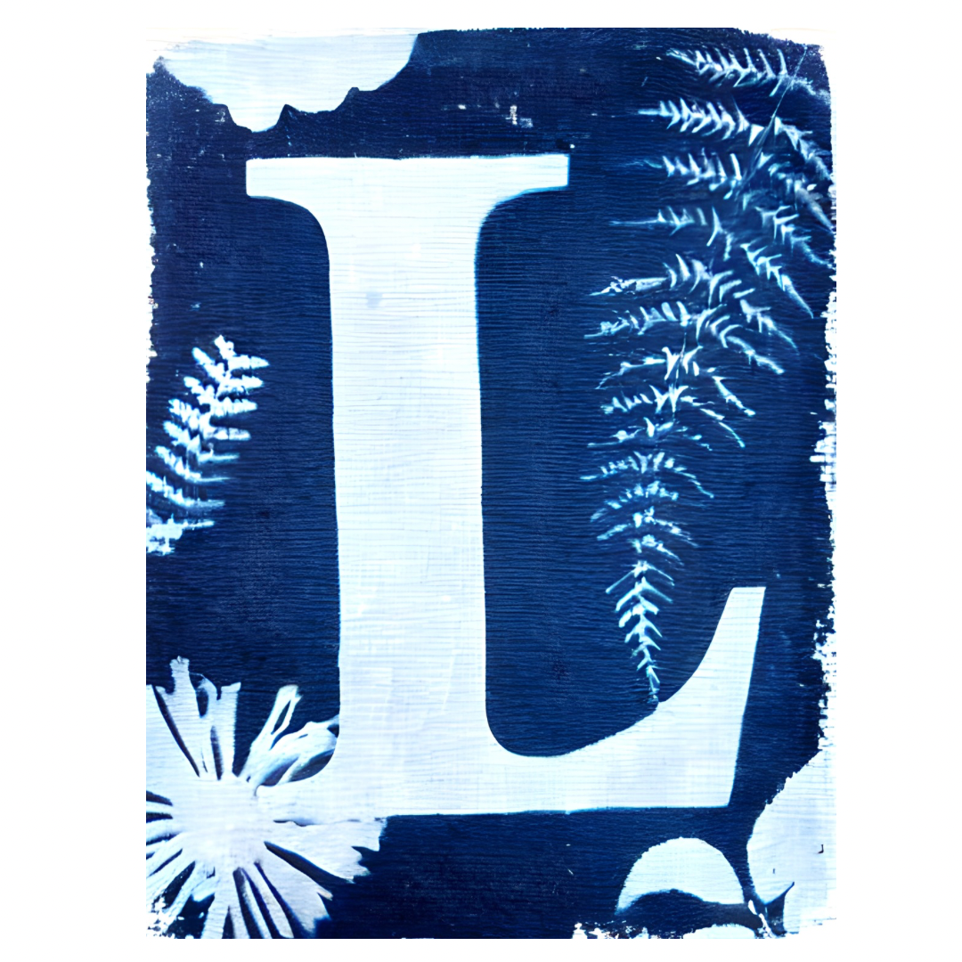 Cyanotype Letters Notecards