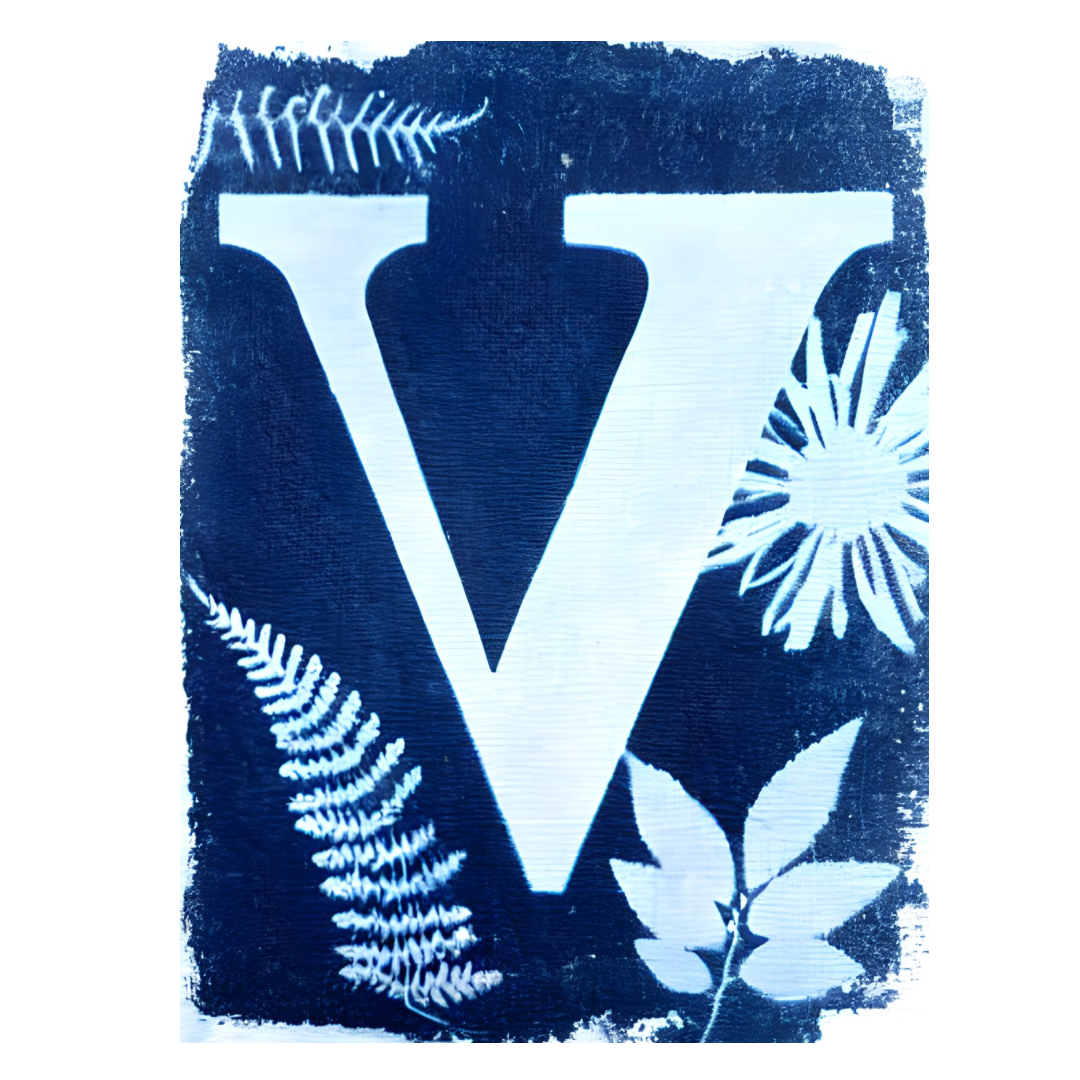 Cyanotype Letters Notecards