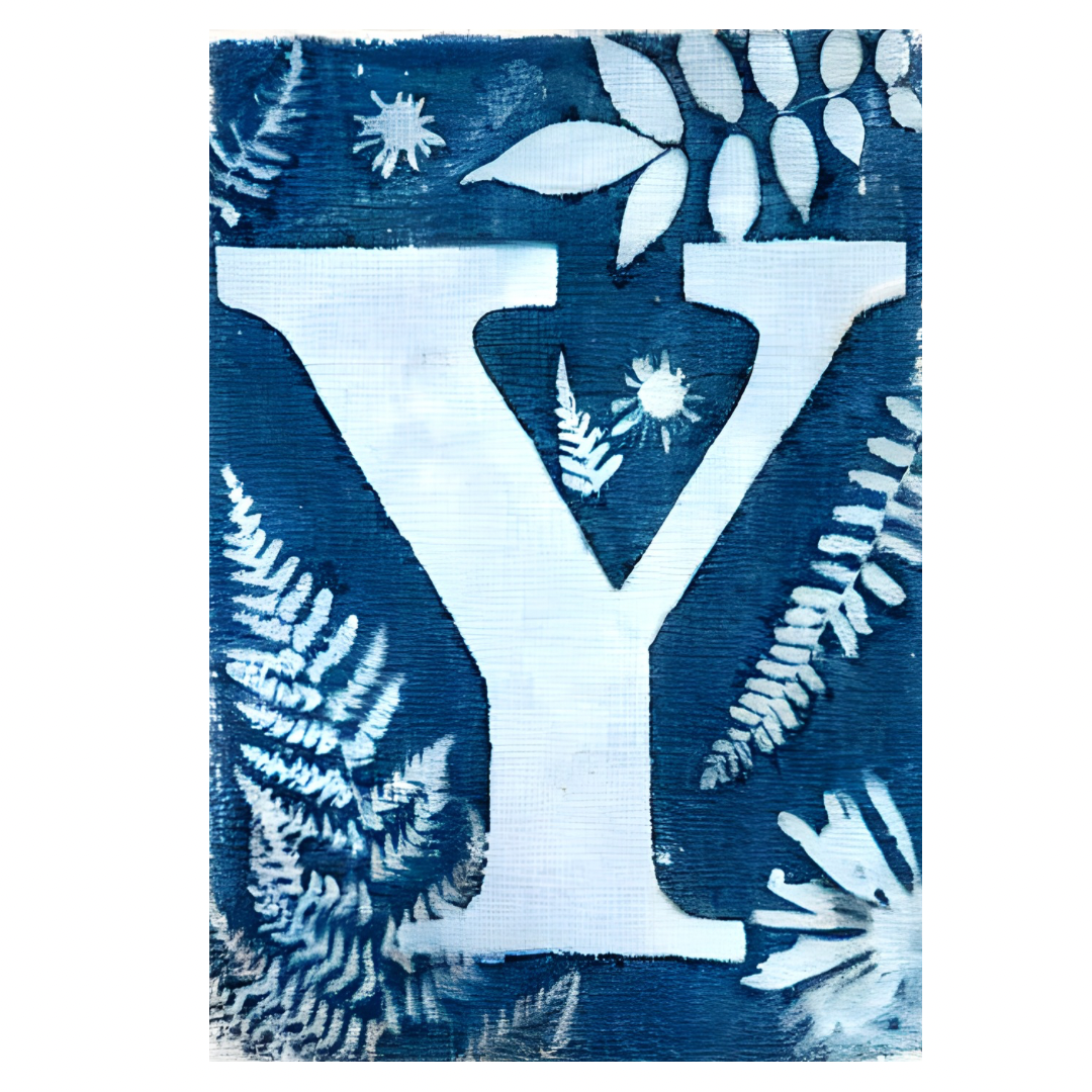 Cyanotype Letters Notecards