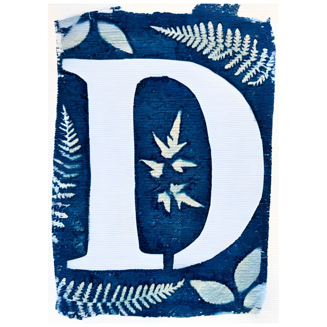 Cyanotype Letters Notecards