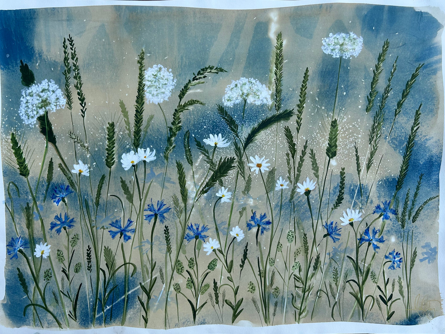 Wildflower Way