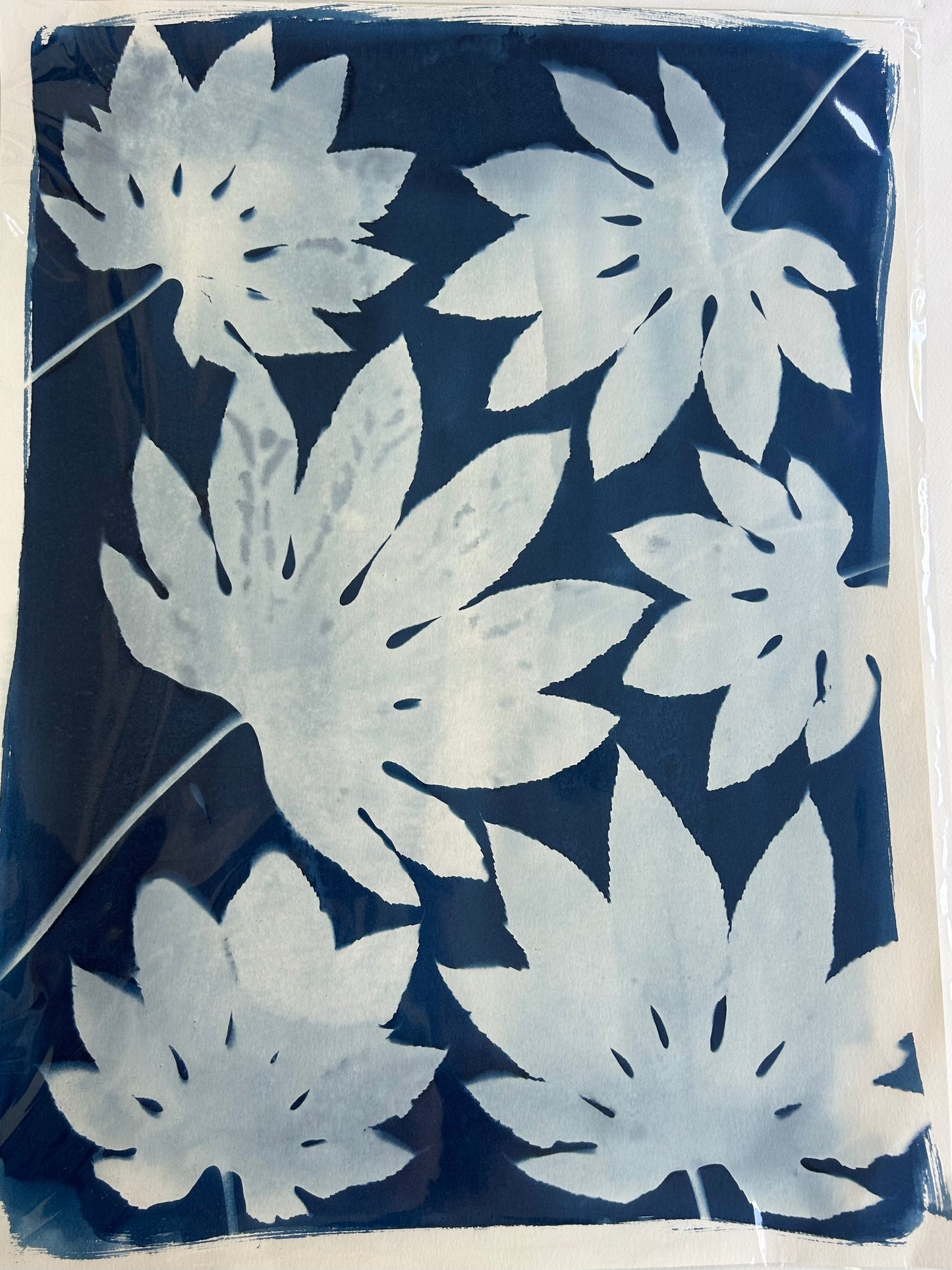 Large Leaves