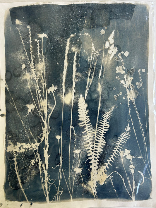 Dust in the Wind