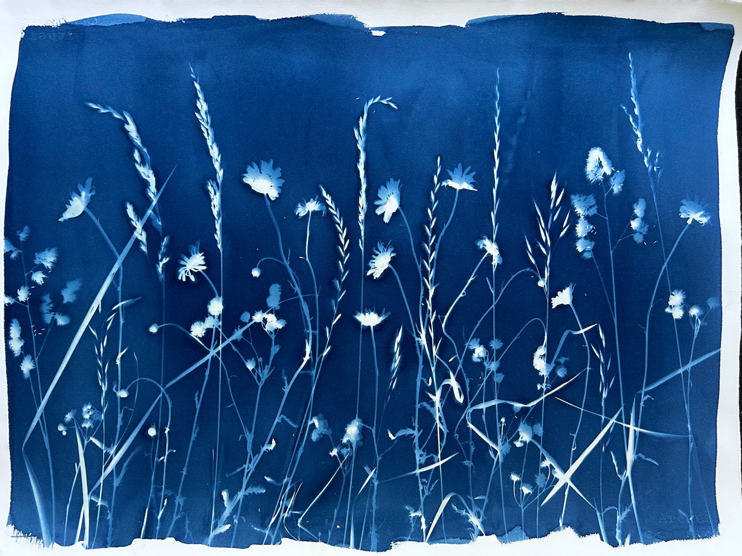 Spring Abound