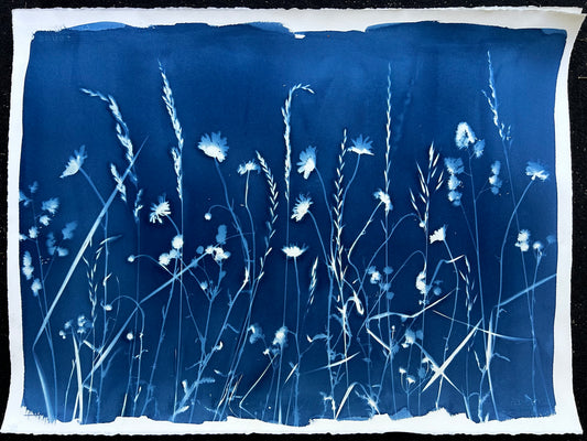 Spring Abound