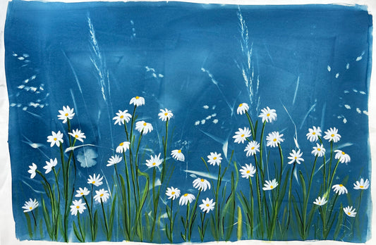 Field of Daisies