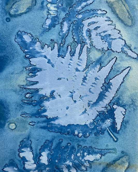 Baby Blue Fern