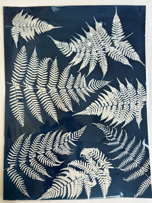 Autumn Ferns