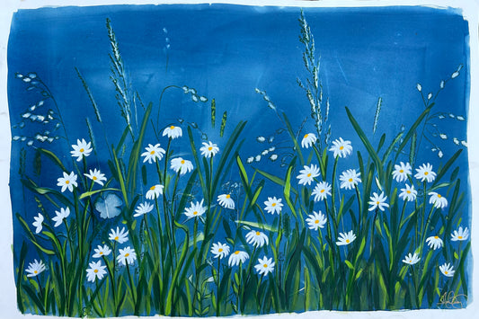 Field of Daisies