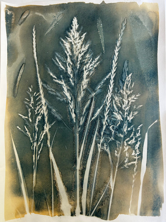 Tall Grass