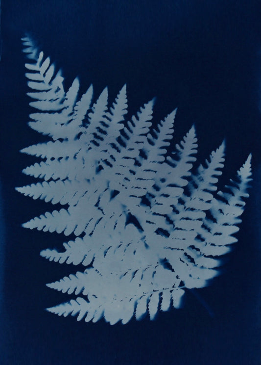 Single Fern Left