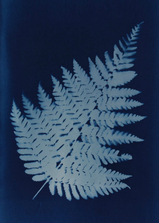Single Fern Right