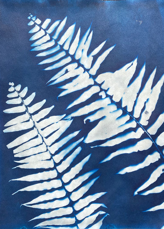 Ferns to the Left