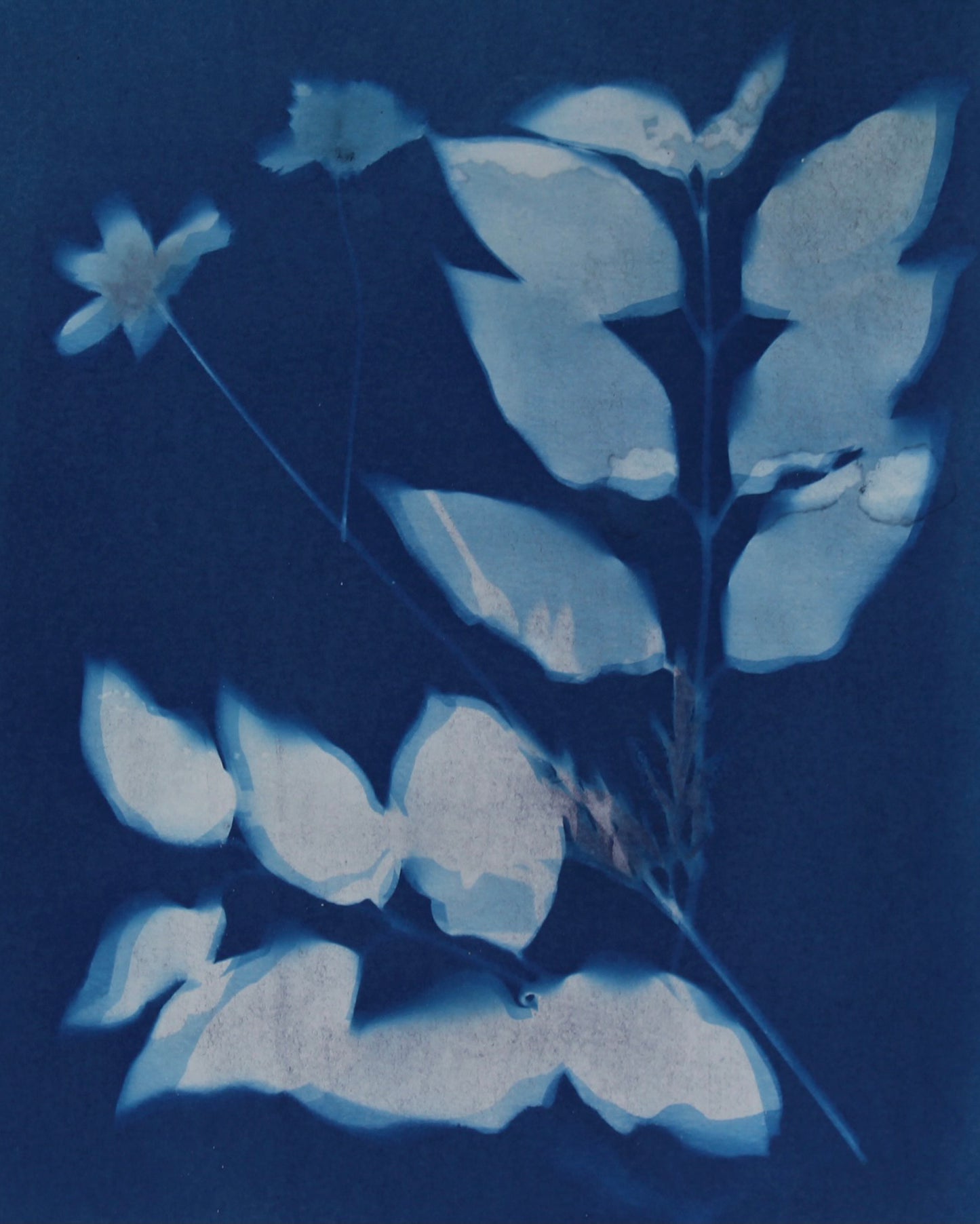 Leafy Flowers