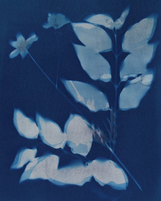 Leafy Flowers
