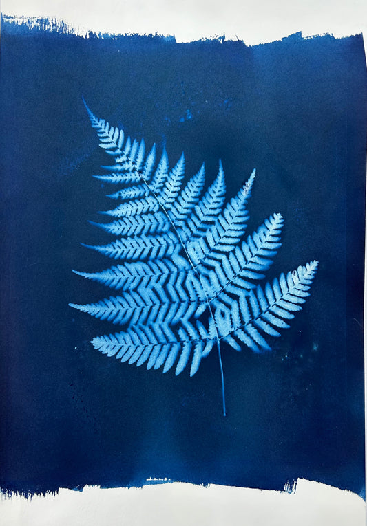 Autumn Fern (L)
