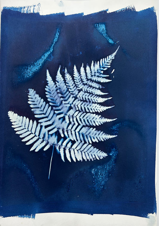 Autumn Fern (R)