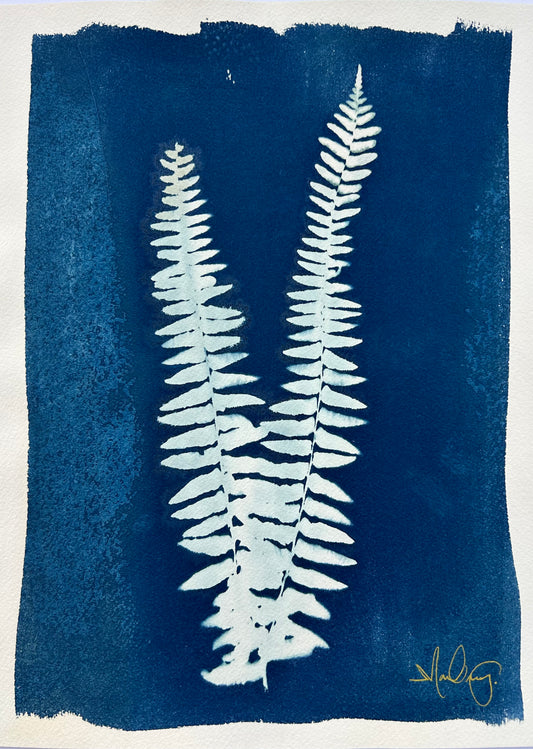 Double Fern (R)