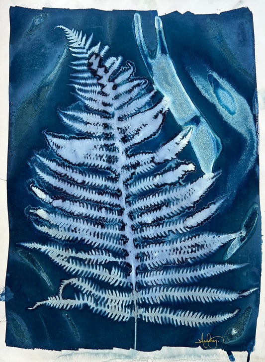 Loose Left Fern
