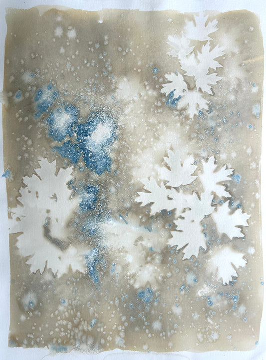 Speckled Maple