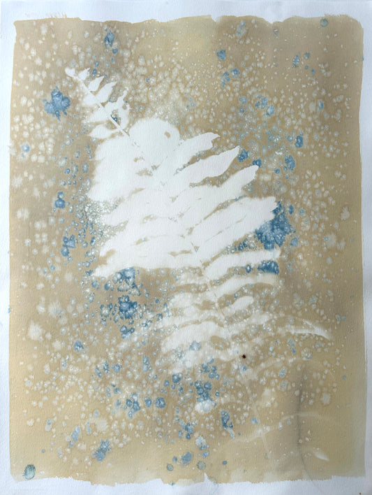 Speckled Fern