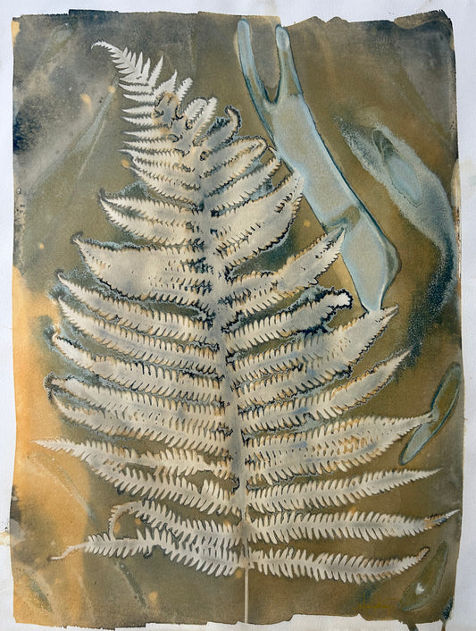 Loose Left Fern