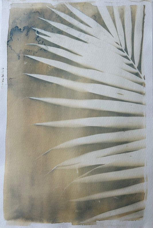 Split Palm Top