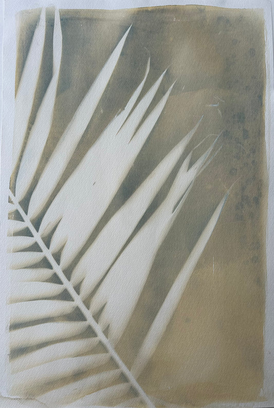 Split Palm Base
