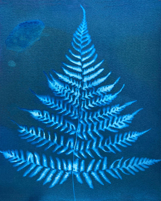 Turquoise Fern