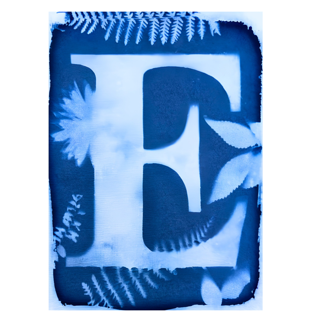 Cyanotype Letters Notecards
