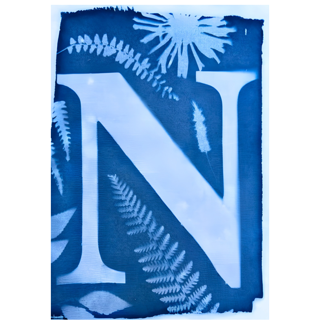 Cyanotype Letters Notecards