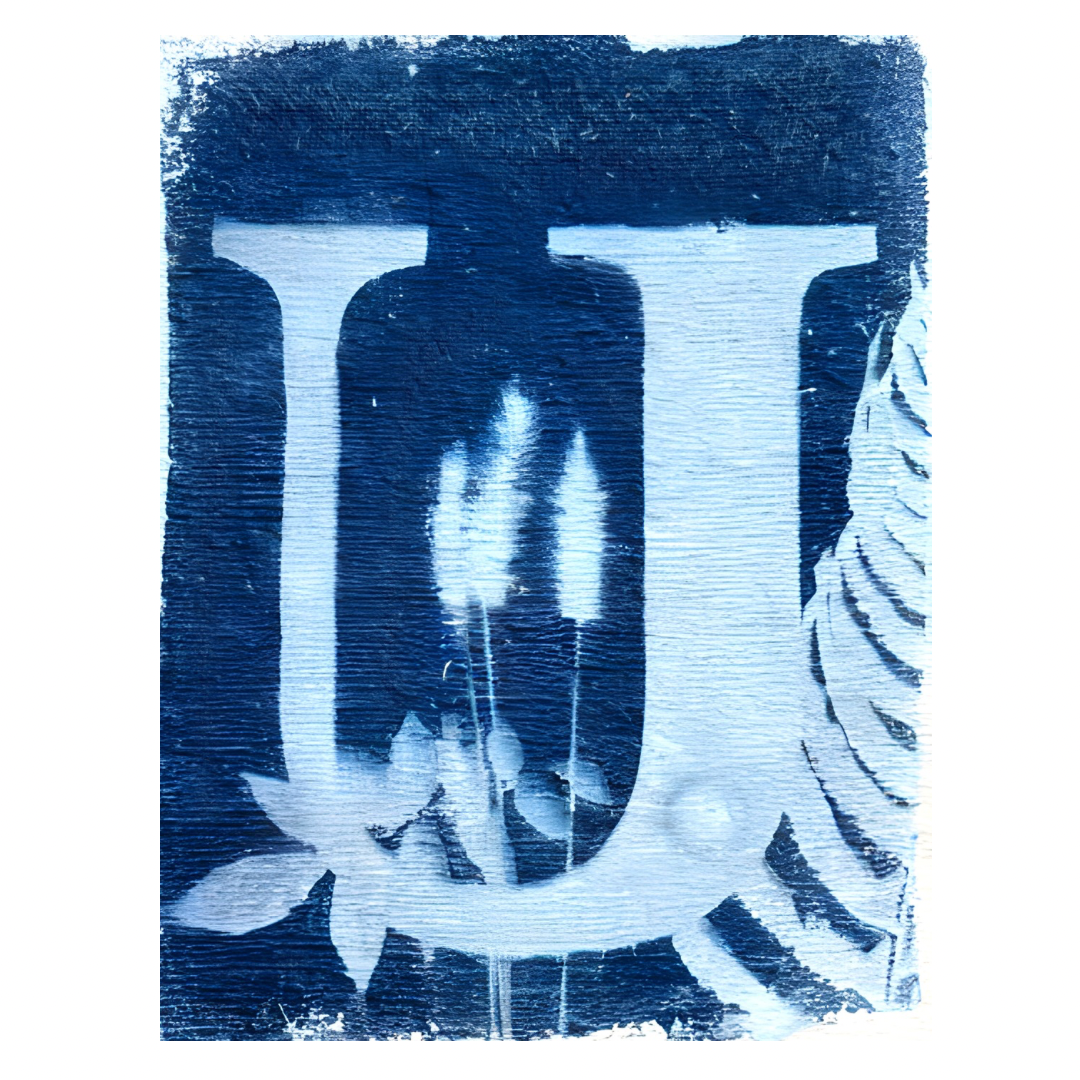Cyanotype Letters Notecards