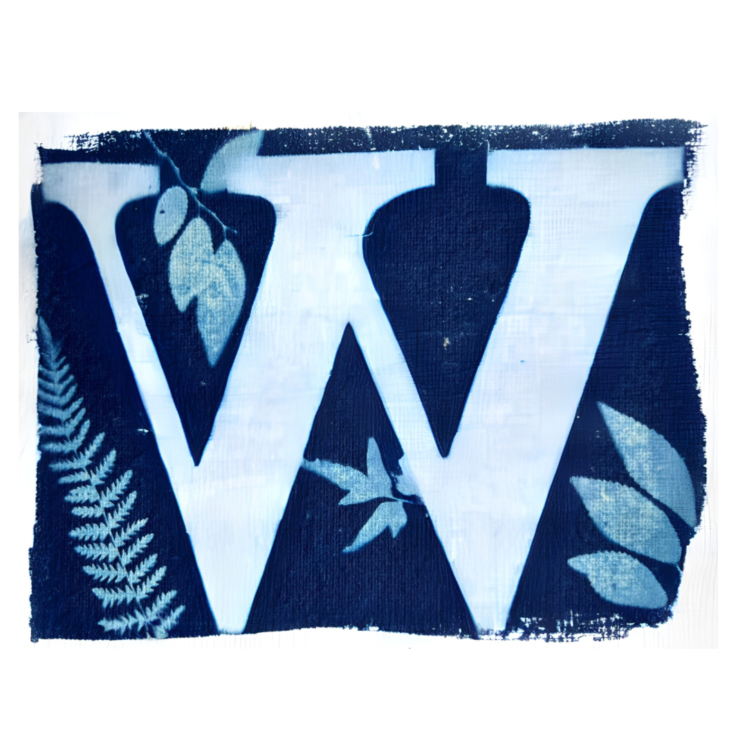 Cyanotype Letters Notecards