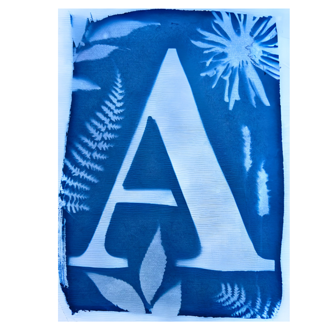 Cyanotype Letters Notecards