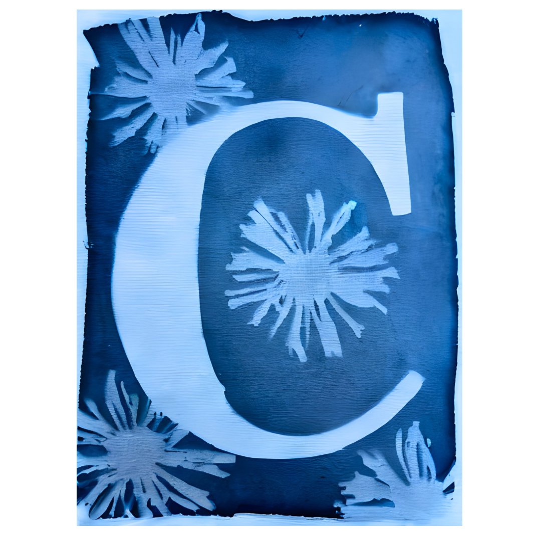 Cyanotype Letters Notecards